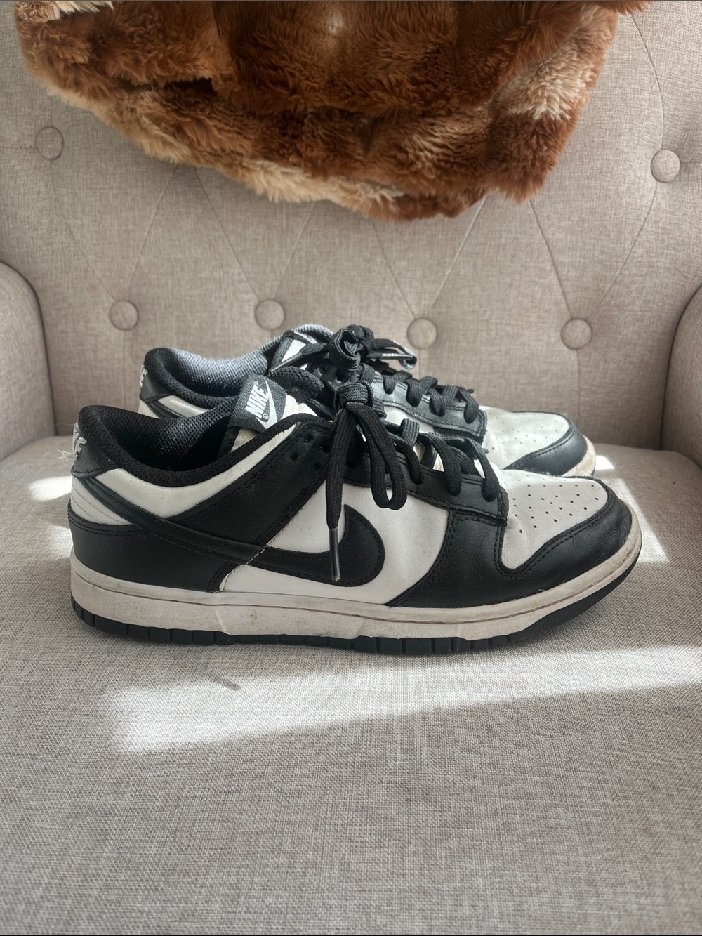 Nike Dunk Low Sneakers